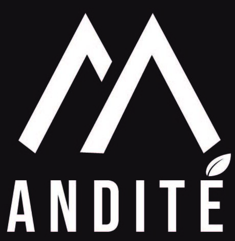 andite.org